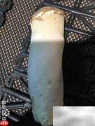 精品杏鲍菇挑选技巧