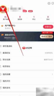 西盟同城登录密码设置指南