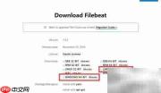 FileBeat+Logstash日志搭建