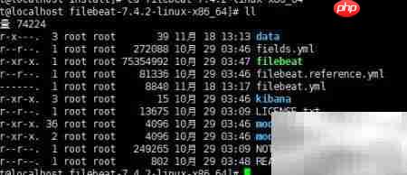 FileBeat+Logstash日志搭建