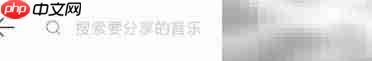 网音乐评发布指南