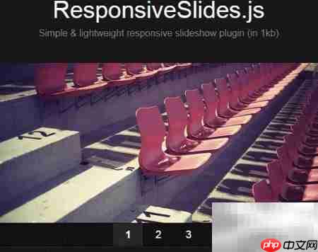 ResponsiveSlides插件详解