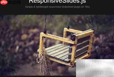 ResponsiveSlides插件详解