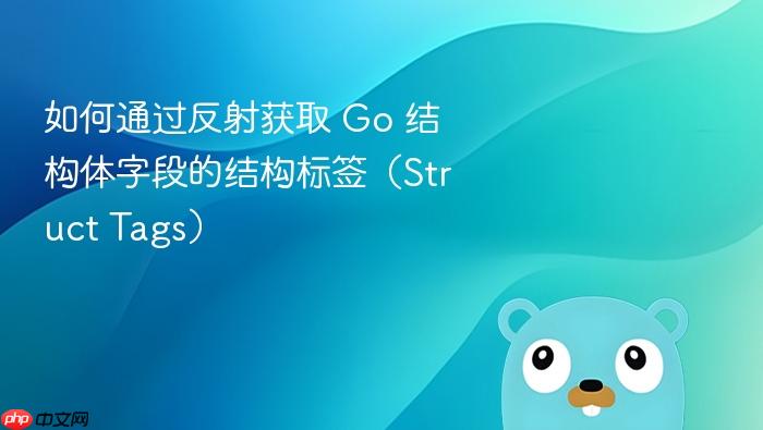 如何通过反射获取 Go 结构体字段的结构标签(Struct Tags)