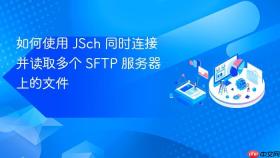 如何使用 JSch 同时连接并读取多个 SFTP 服务器上的文件