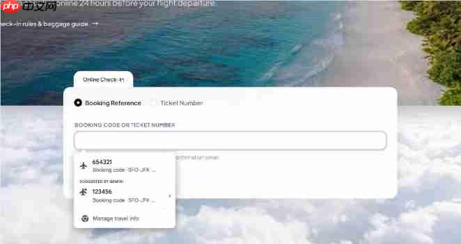 航班号、订单号一键填入，Chrome AI自动填充正式上线