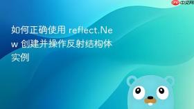 如何正确使用 reflect.New 创建并操作反射结构体实例
