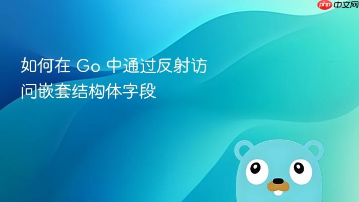 如何在 Go 中通过反射访问嵌套结构体字段