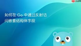 如何在 Go 中通过反射访问嵌套结构体字段