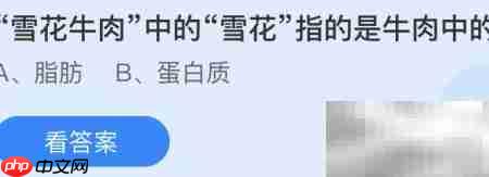 雪花牛肉中的雪花指脂肪纹路
