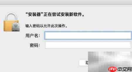 菠萝播放器下载方法