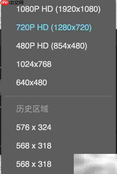 菠萝播放器下载方法