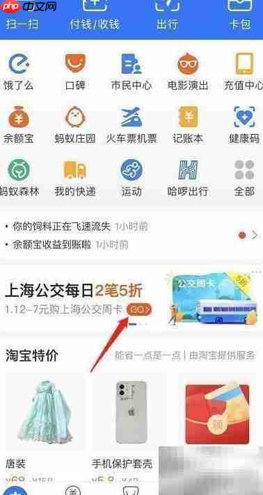 支付宝购买上海公交周卡指南