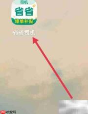 省省司机如何查看保障包