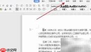 WPS中文如何翻译成西班牙语
