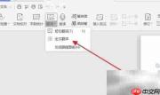 WPS中文如何翻译成西班牙语