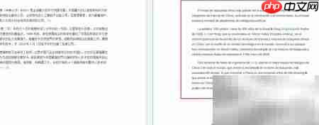 WPS中文如何翻译成西班牙语