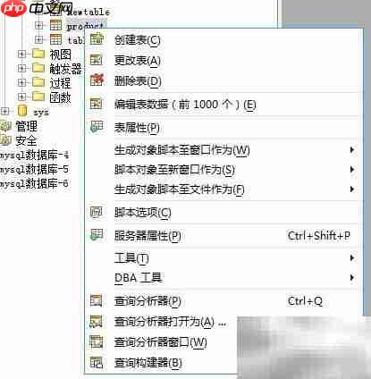 Aqua Data Studio导出数据预览指南