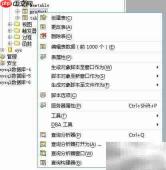 Aqua Data Studio导出数据预览指南