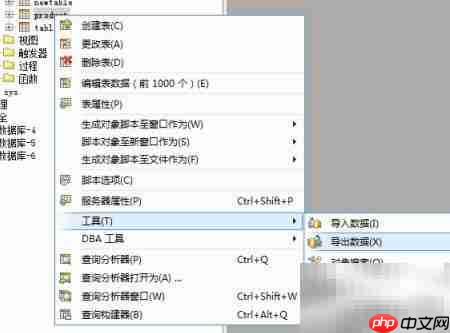 Aqua Data Studio导出数据预览指南