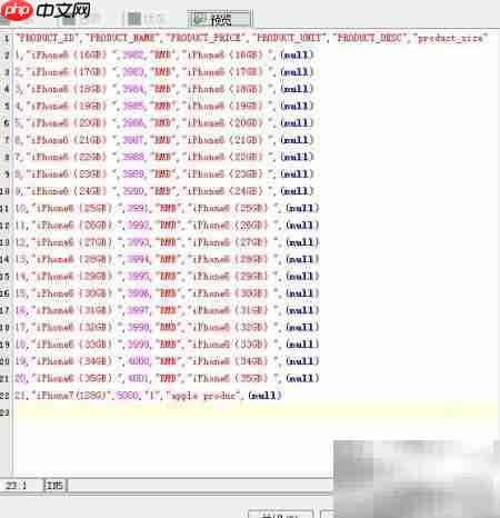 Aqua Data Studio导出数据预览指南