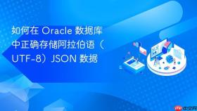 如何在 Oracle 数据库中正确存储阿拉伯语（UTF-8）JSON 数据
