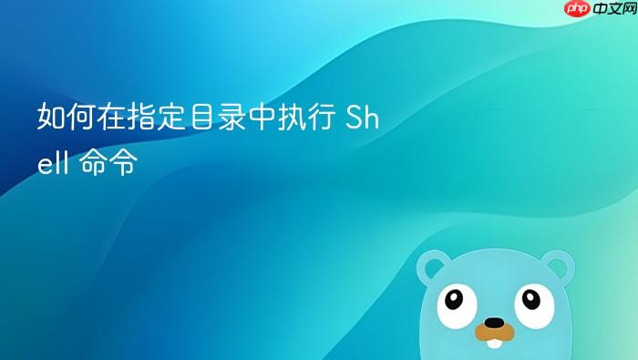 如何在指定目录中执行 Shell 命令