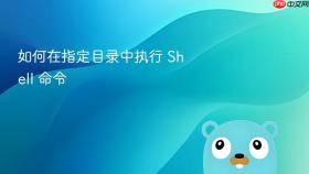 如何在指定目录中执行 Shell 命令