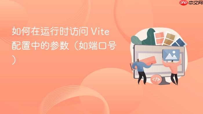 如何在运行时访问 Vite 配置中的参数(如端口号)