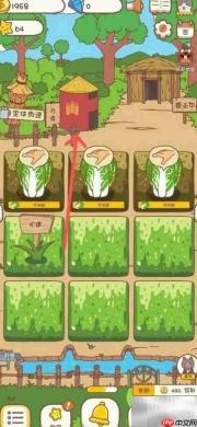 口袋菜地红砖仓库升级指南