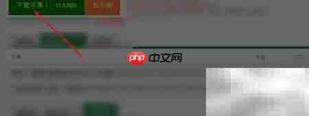 蓝光原盘添加字幕方法