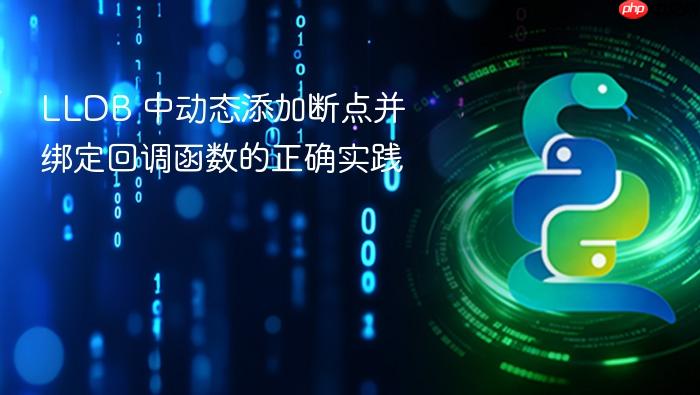 LLDB 中动态添加断点并绑定回调函数的正确实践