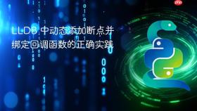 LLDB 中动态添加断点并绑定回调函数的正确实践
