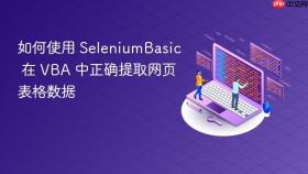 如何使用 SeleniumBasic 在 VBA 中正确提取网页表格数据
