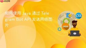 如何使用 Java 通过 Telegram Bot API 发送网络图片
