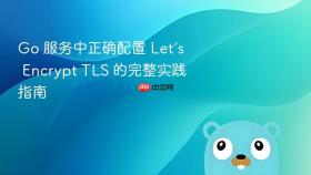 Go 服务中正确配置 Let’s Encrypt TLS 的完整实践指南