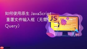 如何使用原生 JavaScript 重置文件输入框（无需 jQuery）
