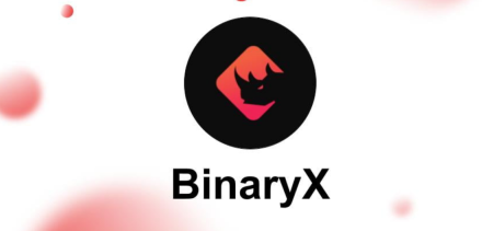 bnx币2024年能涨多少