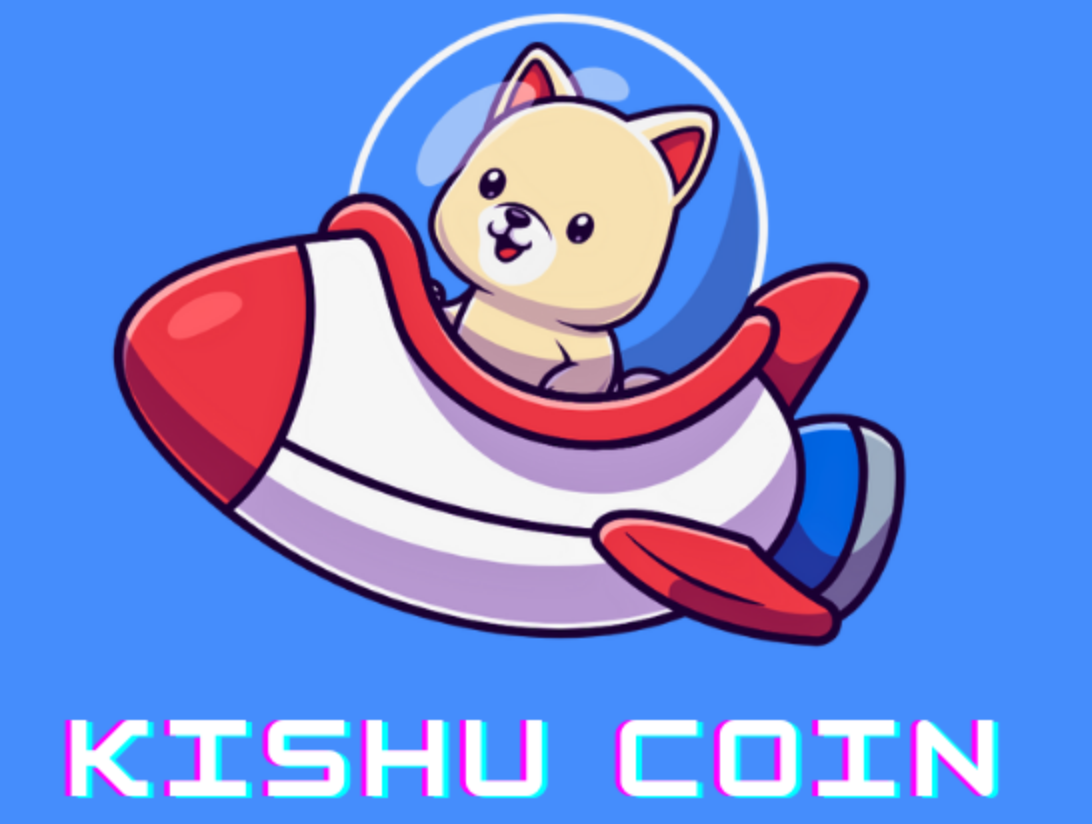 Which platform has KISHU coins? Where is it safe to buy KISHU coins?