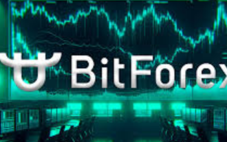BitForex 取引所は便利な通貨出金プロセスを提供します