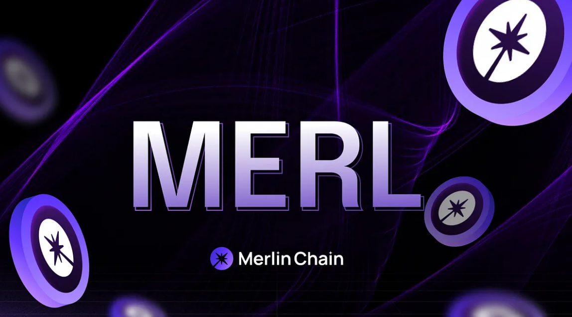 What is MERL coin?