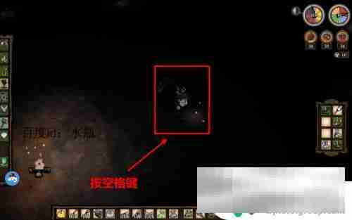 饥荒联机版怎么抓萤火虫 饥荒怎么捕捉萤火虫