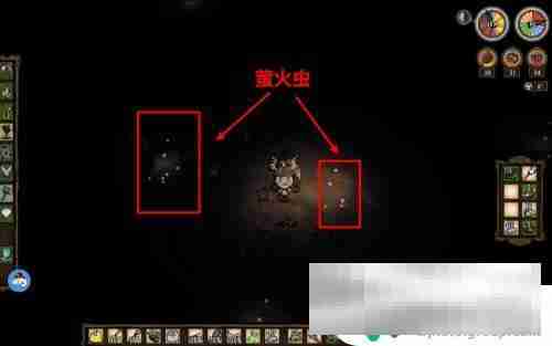 饥荒联机版怎么抓萤火虫 饥荒怎么捕捉萤火虫