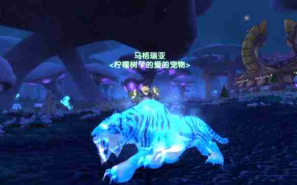 魔兽世界玛格瑞亚怎么抓-玛格瑞亚抓取位置坐标介绍