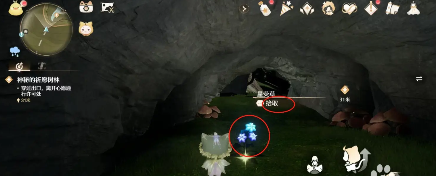 无限暖暖星荧草怎么获得-无限暖暖星荧草获得方法