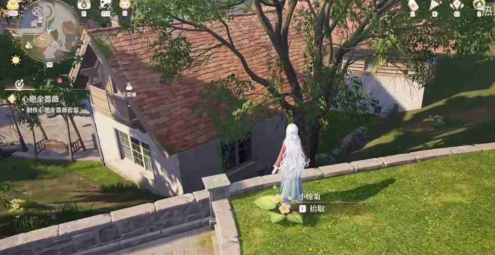 无限暖暖小棉菊在哪-无限暖暖小棉菊获得方法