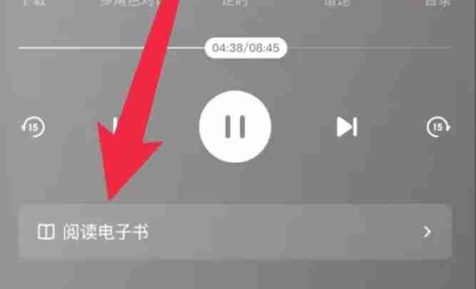 番茄畅听怎么看文字_番茄畅听看文字的方法
