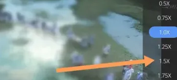 暴风影音怎么倍速播放视频？_暴风影音倍速播放视频教程