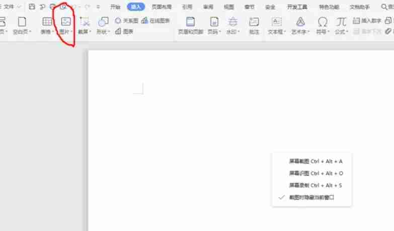 wps电脑版怎么开空白文件和插入图片_wps电脑版开空白文件和插入图片的方法