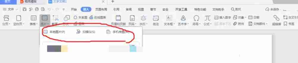 wps电脑版怎么开空白文件和插入图片_wps电脑版开空白文件和插入图片的方法